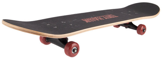 tony-hawk-signature-series-skateboard-video game-2