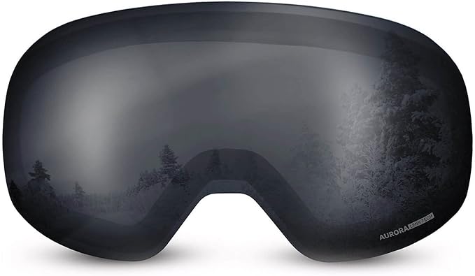 wildhorn-roca-lens-jet black-1