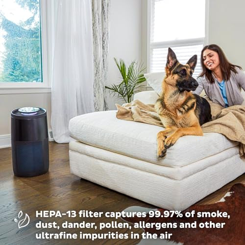 Instant HEPA Air Purifier with Plasma Ion Technology