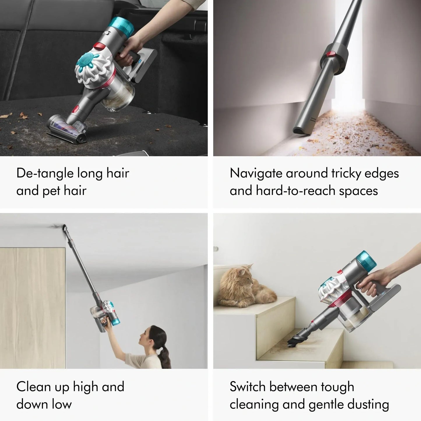 Dyson Absolute Vacuum (NEW)