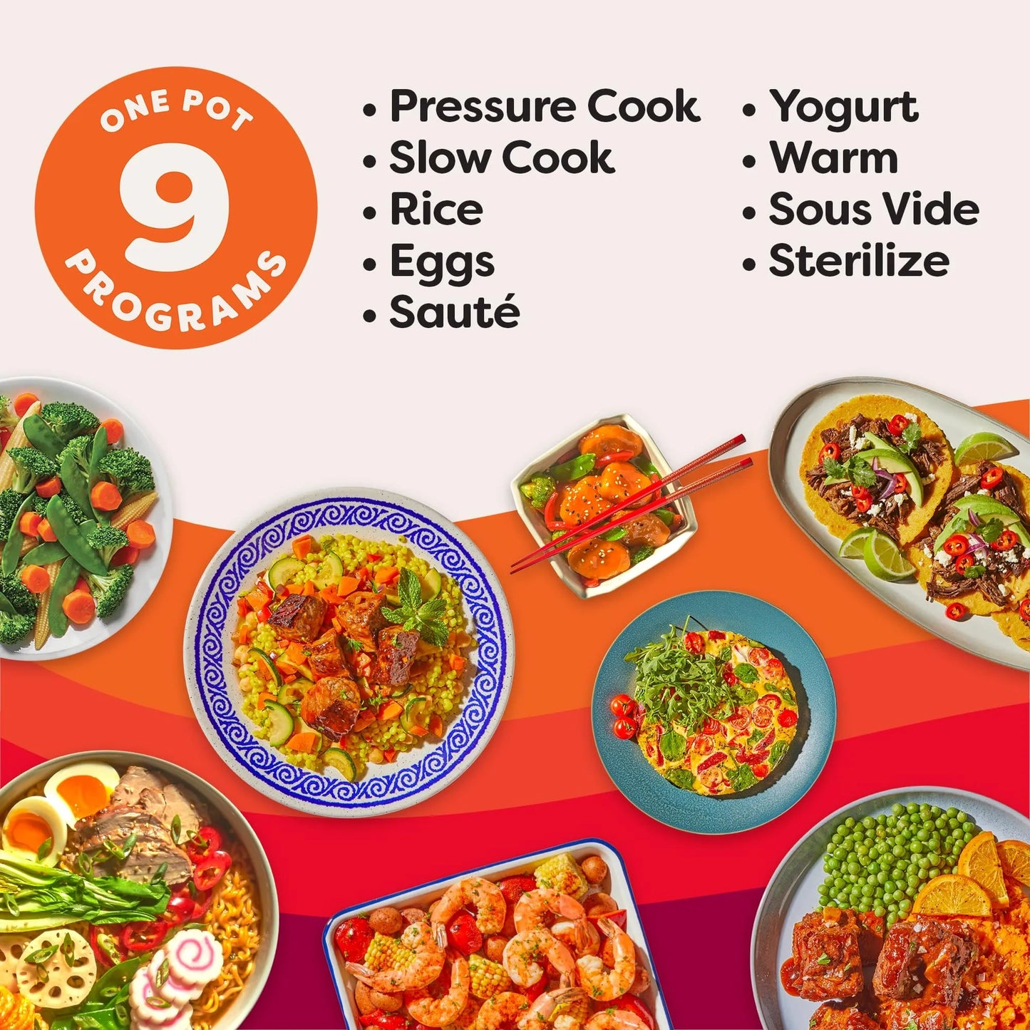 Instant Pot Duo Plus 9-in-1 Multicooker (NEW)