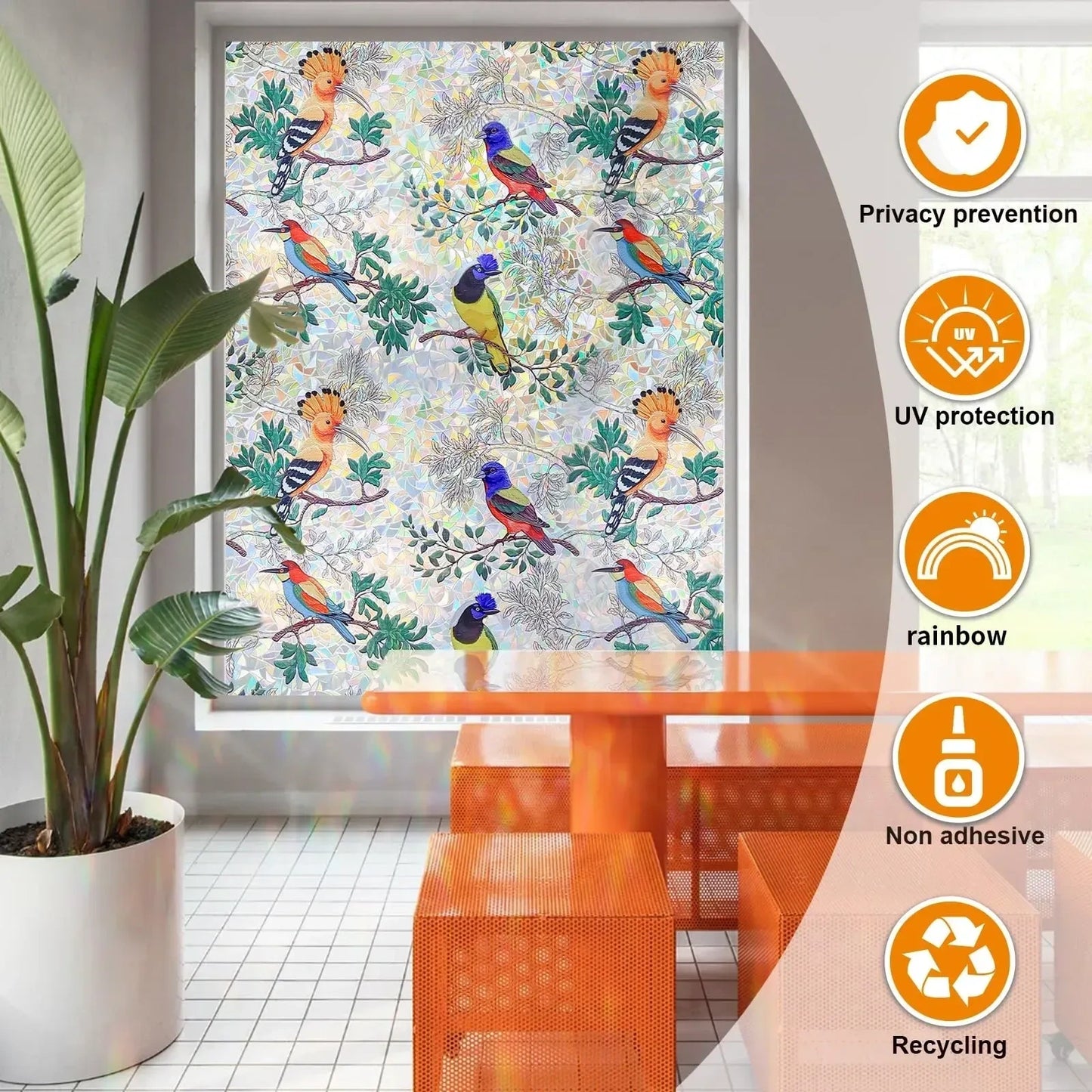 Window Privacy Film (NEW)