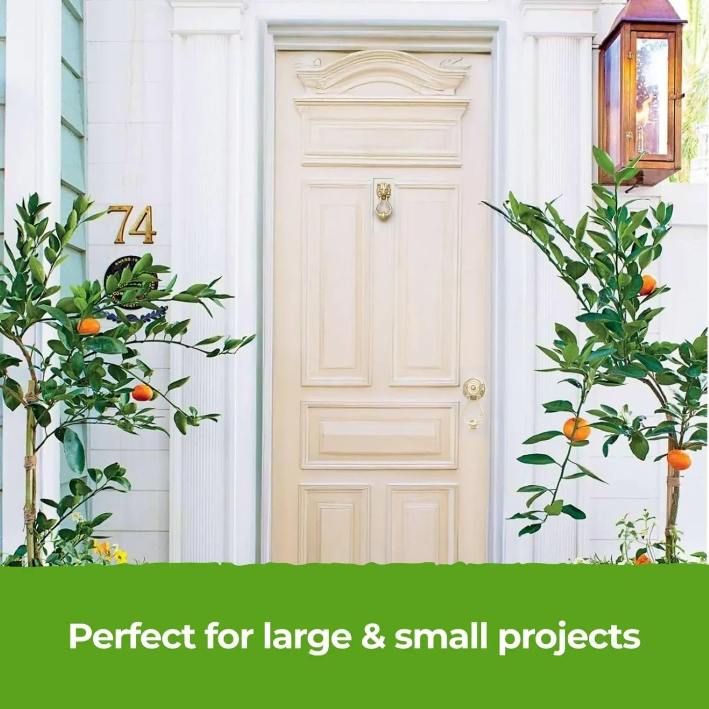 THE ONE All-In-One Paint & Primer (NEW)