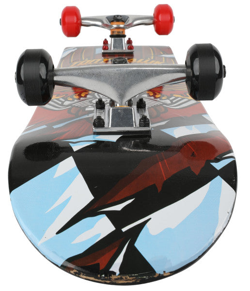 tony-hawk-metallic-skateboard-dive hawk-4